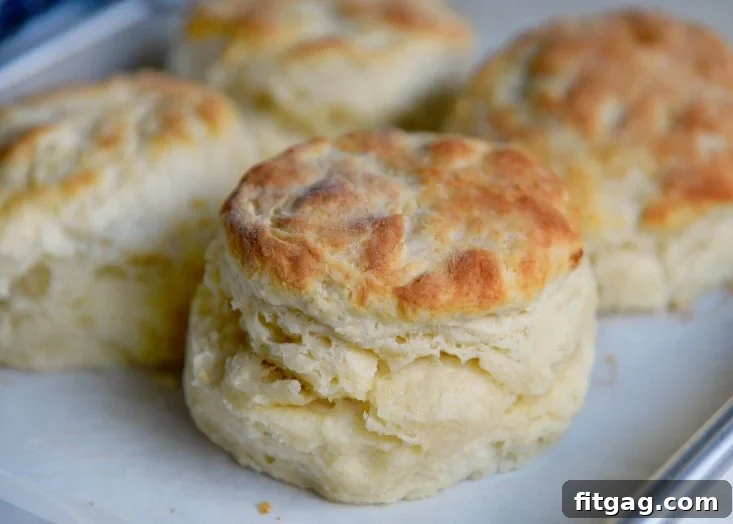 The BEST Homemade Biscuits: Golden Perfection Golden brown homemade biscuits fresh from the oven