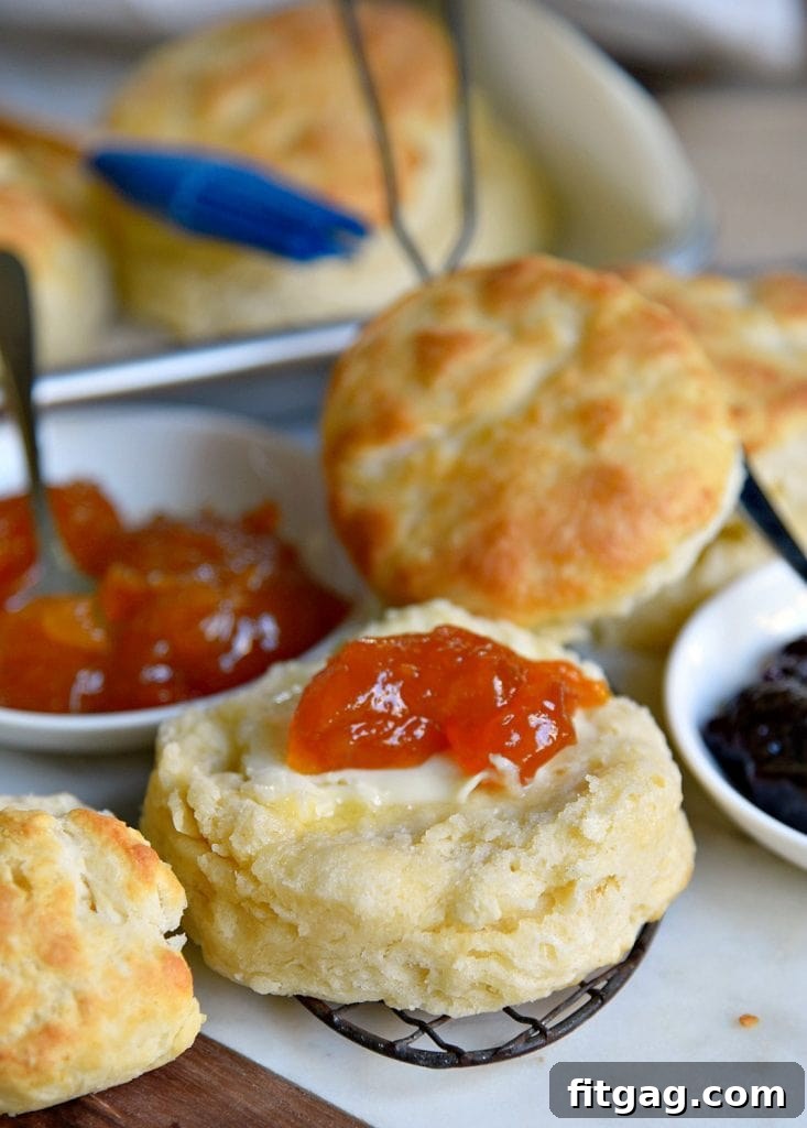 The Ultimate Homemade Biscuit Experience with Jams Homemade biscuits served with an assortment of jams and jellies