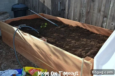 Newly planted vegetable seedlings in the large, deep raised garden bed.