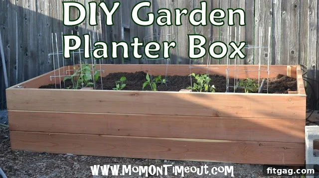 A variety of freshly planted vegetables and herbs thriving in the deep, healthy soil of the raised bed.