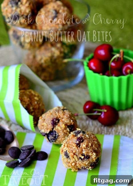 Dark Chocolate and Cherry Peanut Butter Oat Bites | MomOnTimeout.com Delicious Dark Chocolate and Cherry Peanut Butter Oat Bites arranged on a plate.
