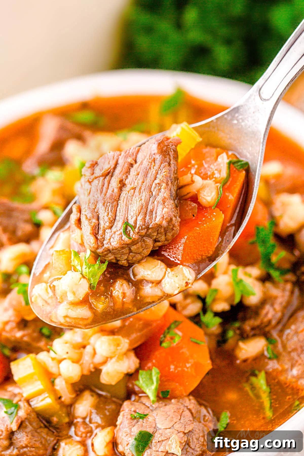 Hearty Beef and Barley Comfort Bowl 7 A spoon holding a serving of beef and barley soup over a white bowl.