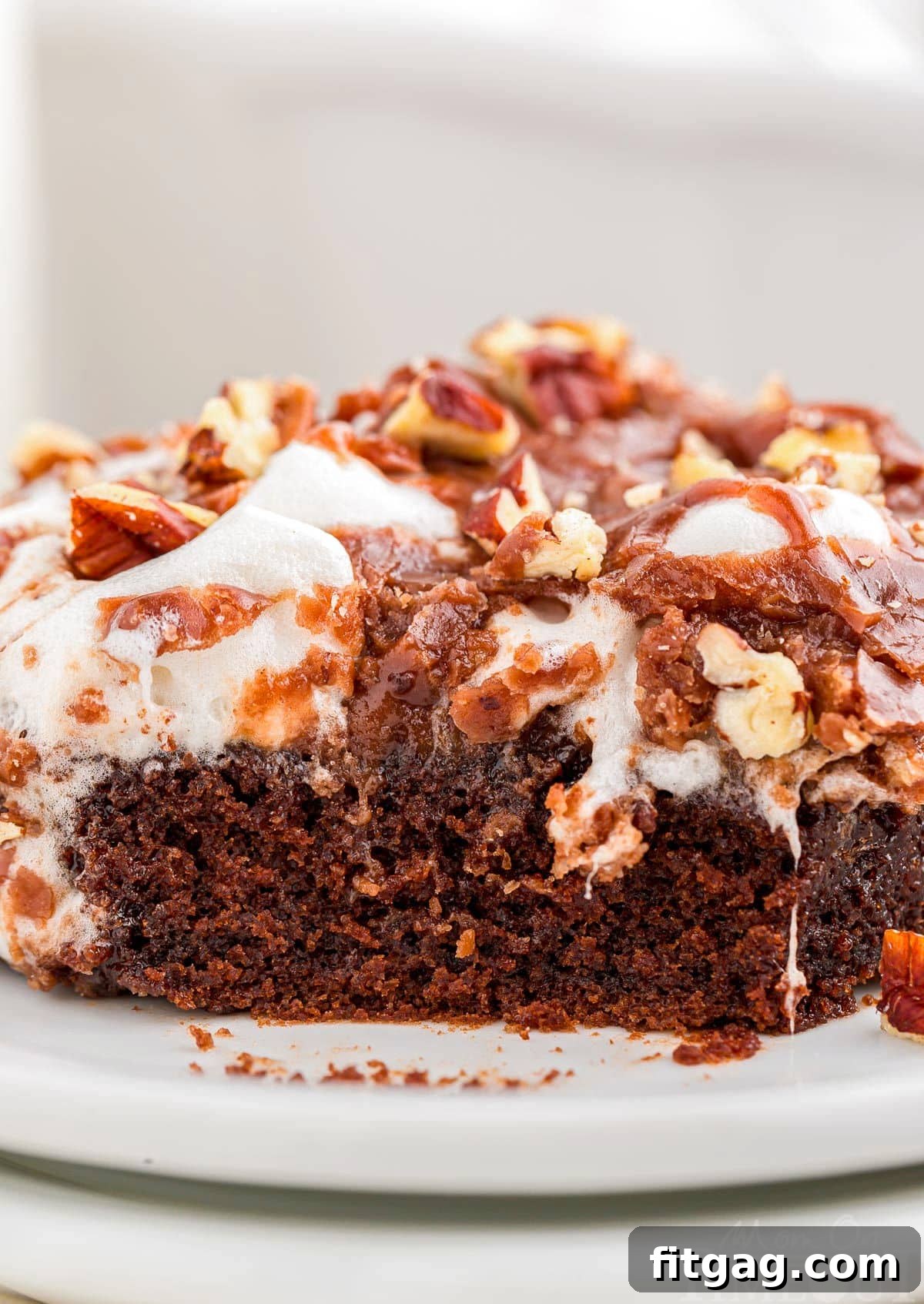 Riverbend Chocolate Dream 4 A captivating close-up shot that reveals the intricate crumb of the moist chocolate cake, beautifully topped with shimmering melted marshmallows and a thick, glossy layer of chocolate frosting, promising a truly decadent bite.