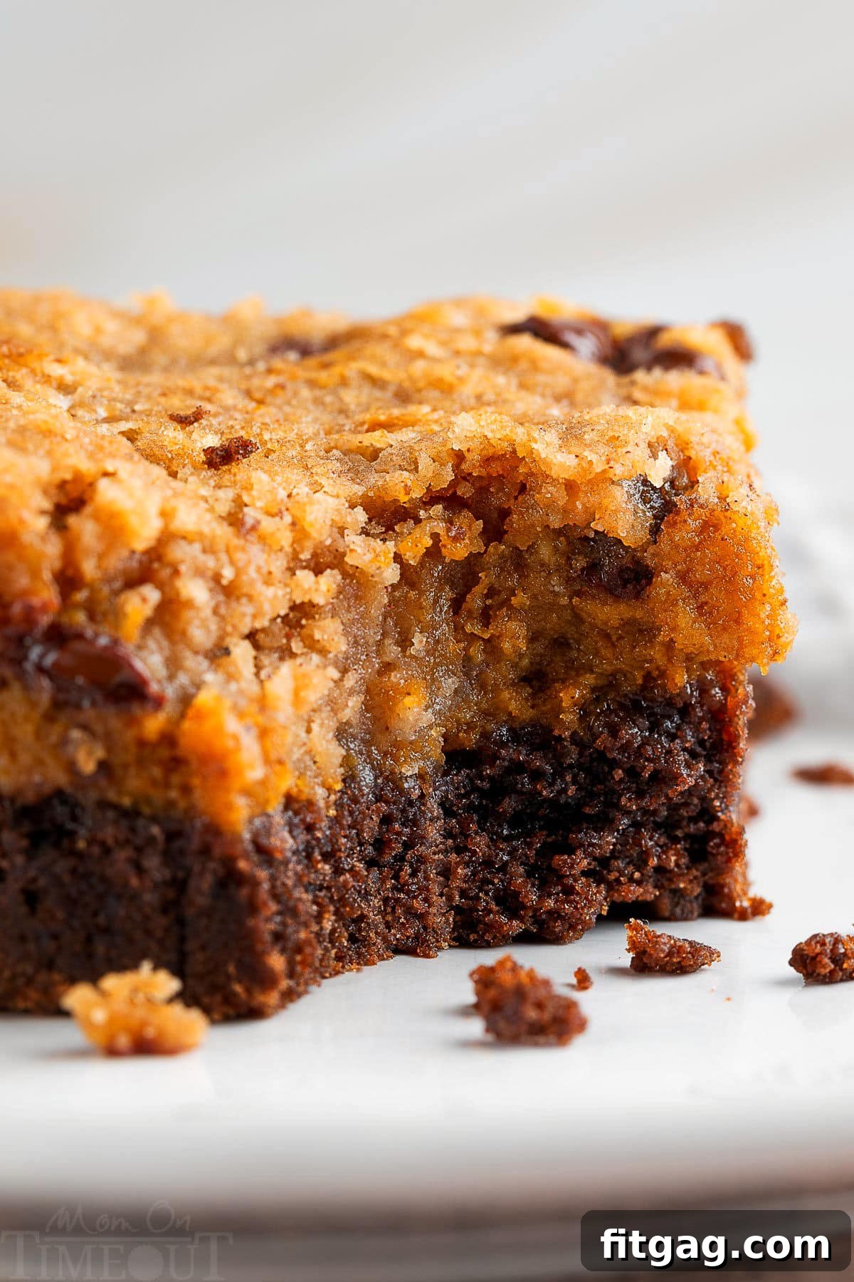 Swirled Chocolate Pumpkin Cheesecake Squares 4 A close-up shot of a single chocolate pumpkin cheesecake bar with a bite taken out, revealing its luscious layers, placed on a simple white plate.