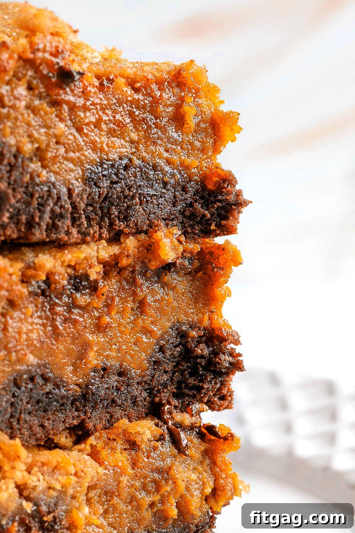 Swirled Chocolate Pumpkin Cheesecake Squares 6 A vibrant close-up of a stack of chocolate pumpkin cheesecake bars, highlighting their rich colors and inviting textures, on a clean white plate.