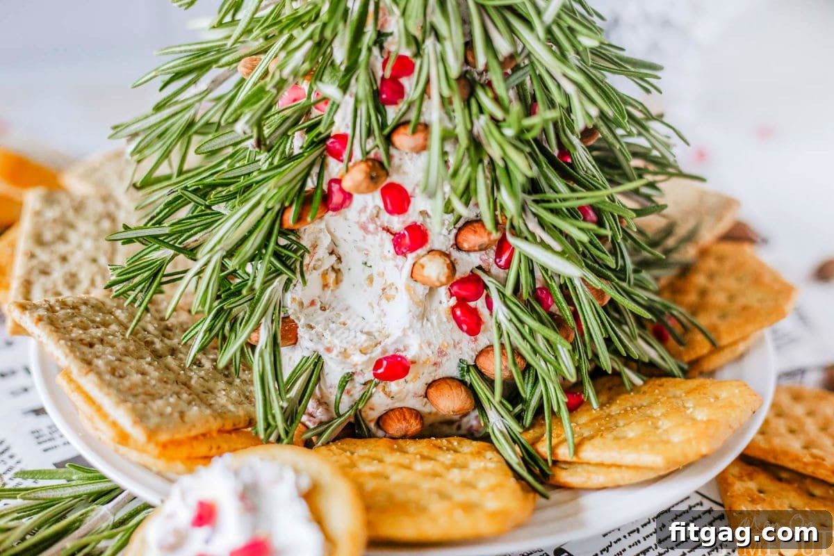 Shot of cheese ball that looks like a Christmas Tree with crackers surrounding it and one cracker spread with the cheese.
