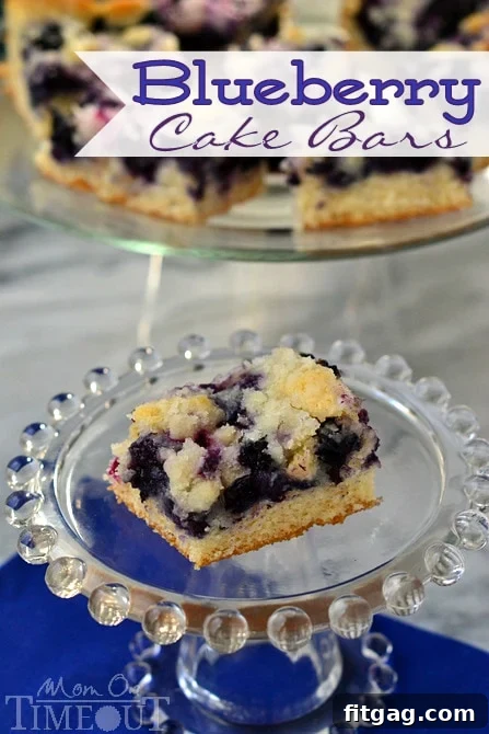 Delicious Blueberry Cake Bars from MomOnTimeout.com, a perfect sweet treat for any time of day.