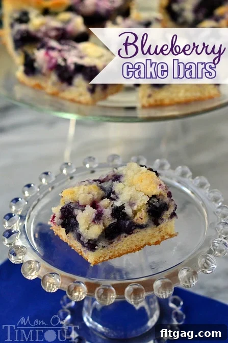 A serving of Blueberry Cake Bars on a plate, ready to enjoy.
