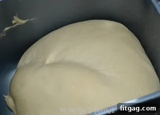 Pizza dough rising beautifully in the bread machine.