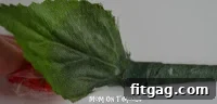Adding artificial rose leaves to the stem while taping