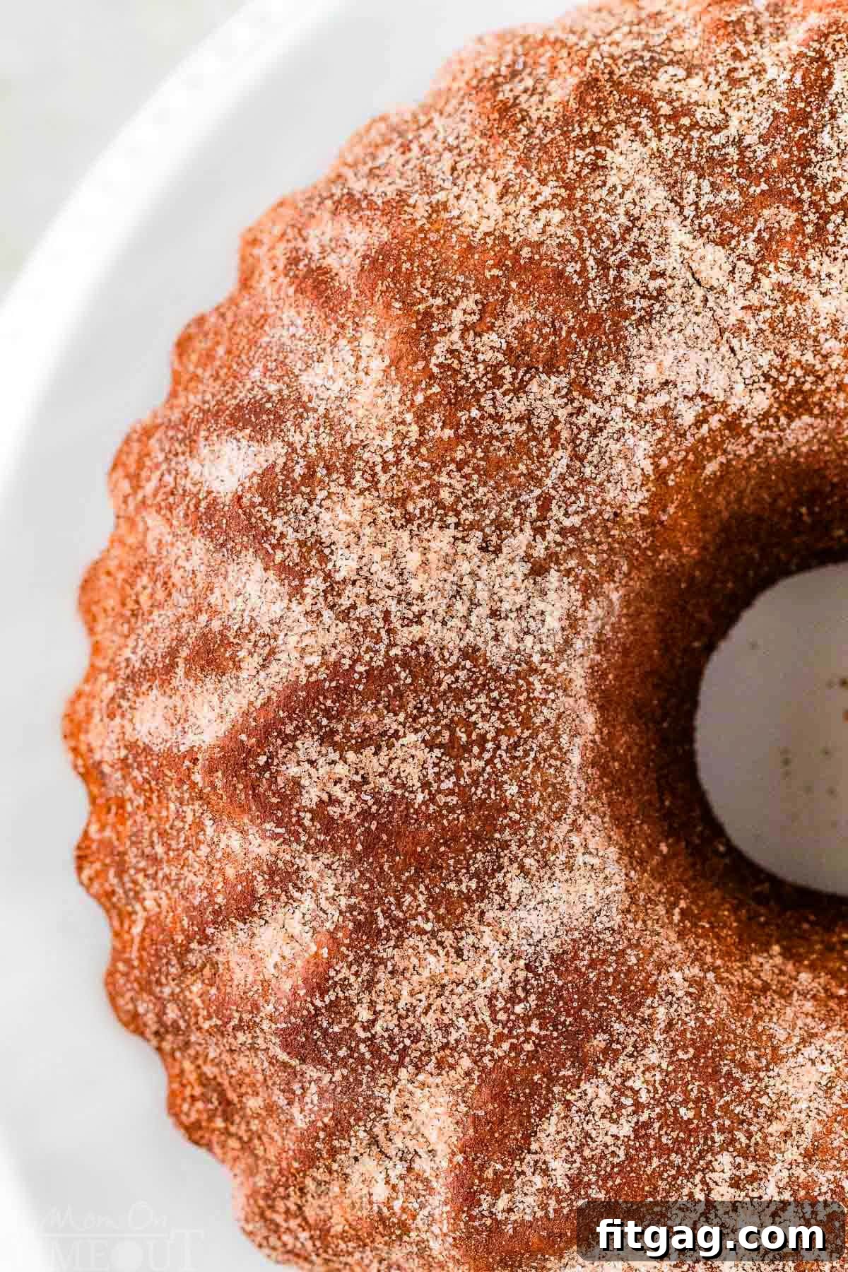 A beautiful top-down perspective of half of a whole apple cider donut bundt cake, elegantly displayed on a pristine white cake stand. The rich color and uniform shape suggest a perfect bake, ready for slicing and serving.