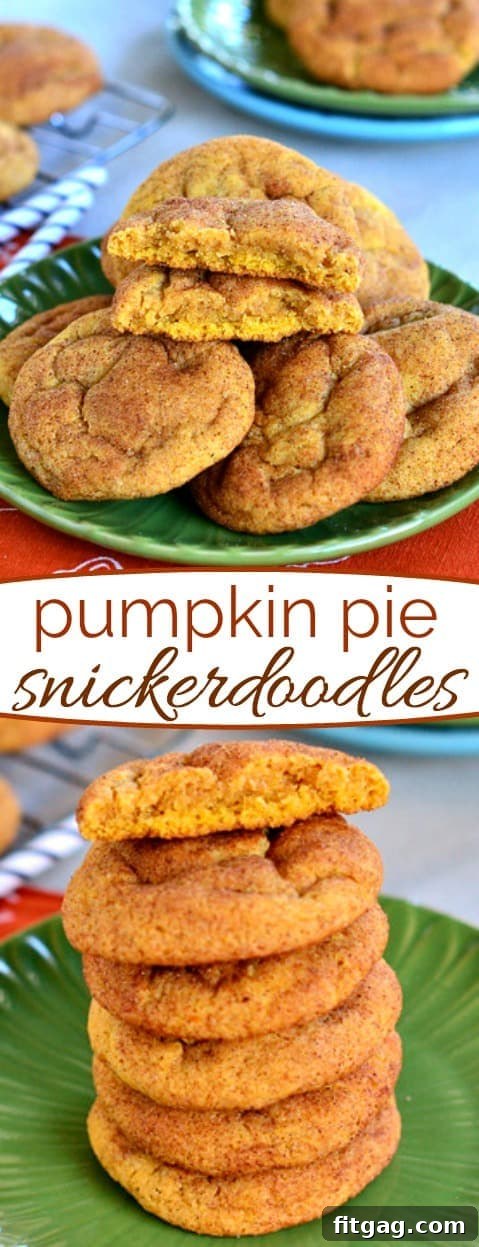 A vibrant collage featuring a variety of Snickerdoodle cookies, highlighting the delicious pumpkin pie flavor, perfect for inspiring more baking.