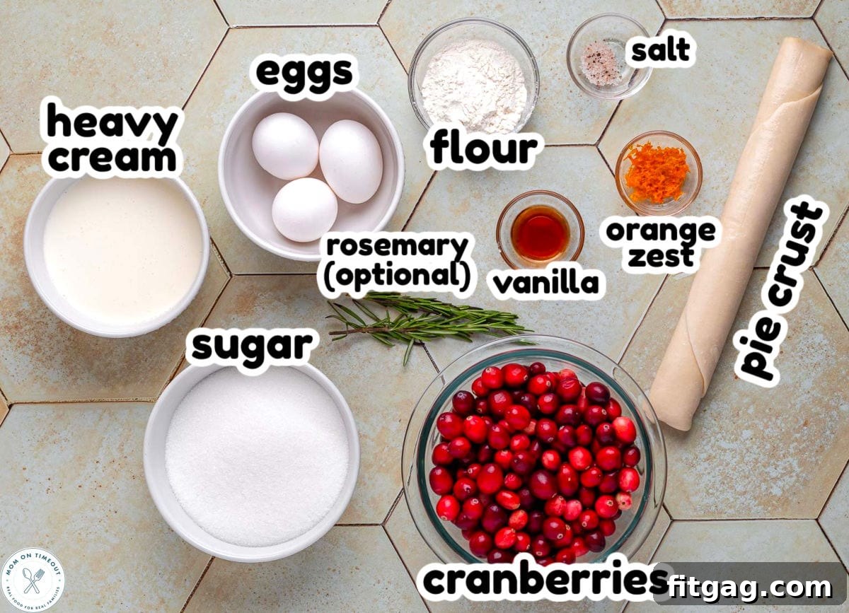 An overhead shot showcasing all the measured ingredients for Cranberry Custard Pie neatly arranged on a countertop, with each item clearly labeled.