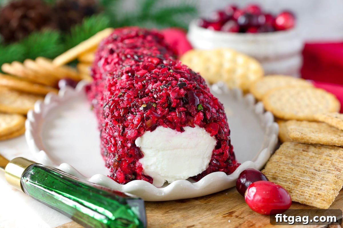 Front view of goat cheese log covered with cranberry salsa. Shown with cheese knife and crackers.
