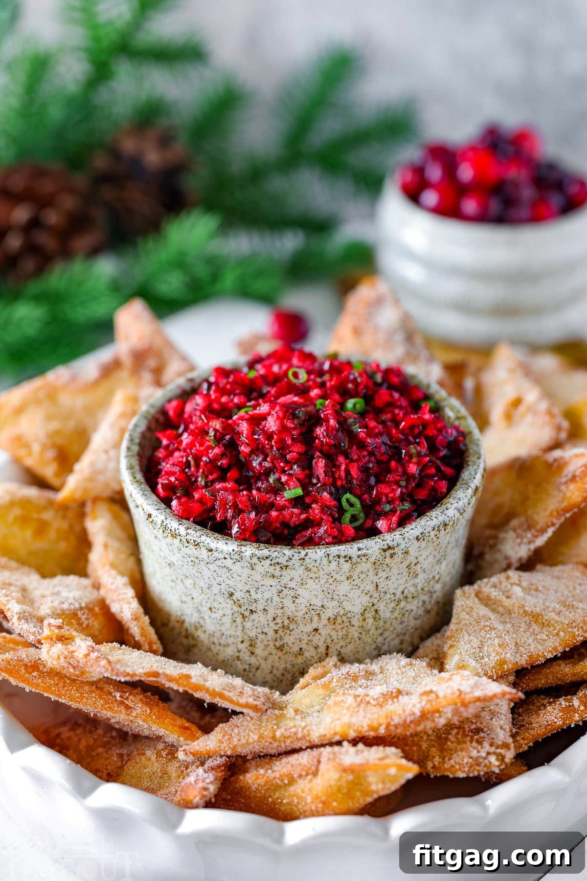 Bowl of cranberry salsa surrounded by chips. Fresh cranberries and greenery can be seen in the background.
