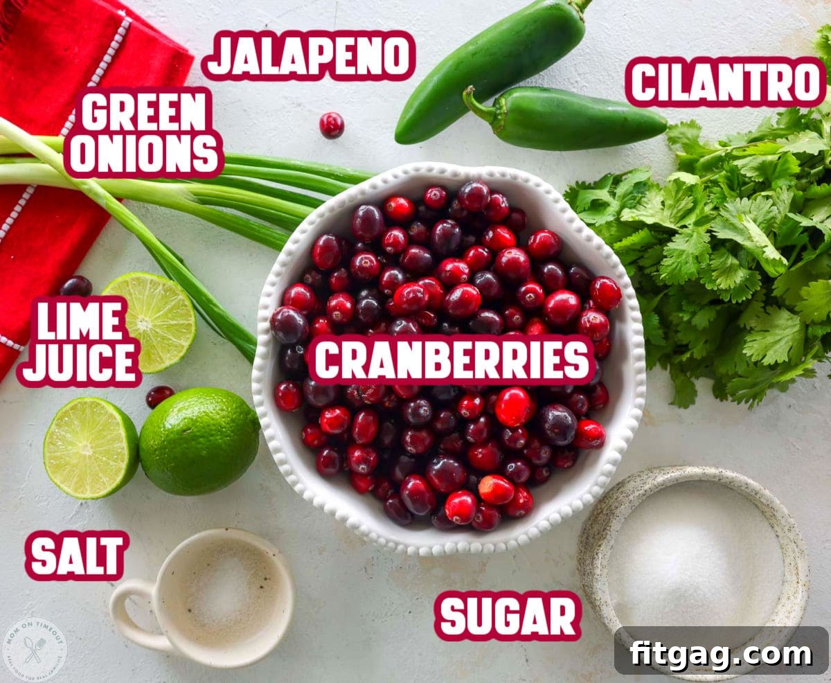Overhead shot of labeled cranberry salsa ingredients laid out and ready to use in the recipe.