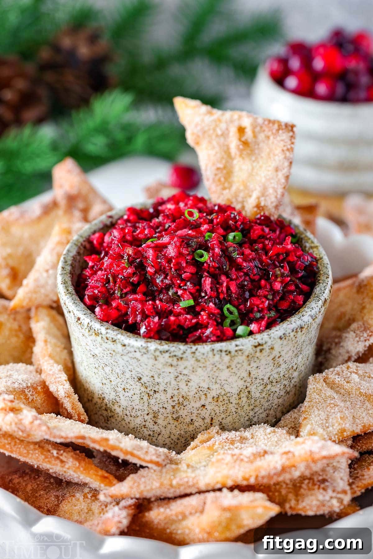 Large hand made pottery bowl with fresh cranberry salsa in it. The bowl is surround with cinnamon sugar chips.