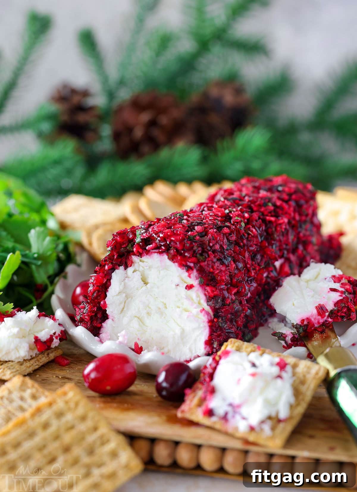 Shot of cranberry salsa coated goat cheese log on board with crackers. A green cheese knife is set beside the cheese log.
