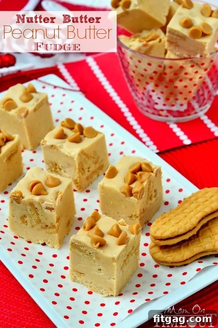 Nutter Butter Peanut Butter Fudge for Peanut Butter Lovers Rich and creamy Nutter Butter Peanut Butter Fudge with visible cookie pieces, perfect for dessert