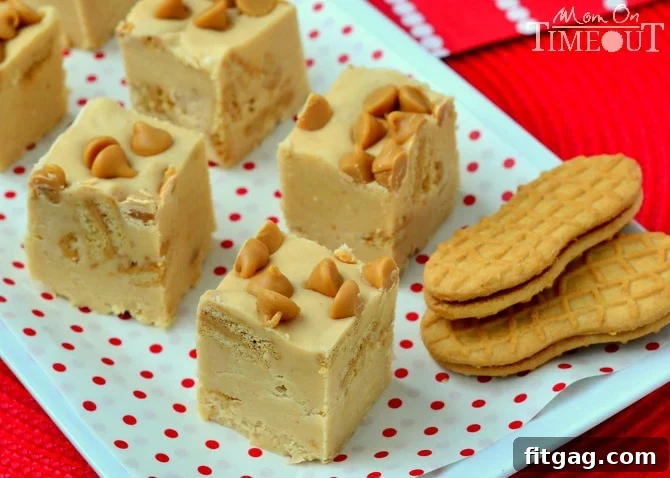Irresistible Peanut Butter Fudge with Nutter Butter Cookies Close-up of Nutter Butter Peanut Butter Fudge with a spoon, highlighting its creamy texture