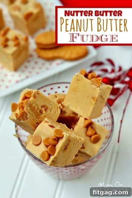 Homemade Nutter Butter Peanut Butter Fudge Recipe Nutter Butter Peanut Butter Fudge squares in a pan, ready to be served