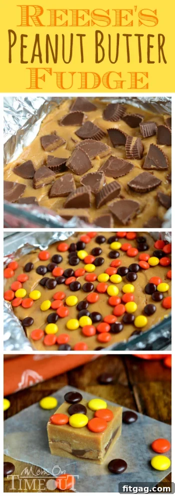 An artistic shot of Reese's Peanut Butter Fudge, showcasing its rich texture and appealing presentation.