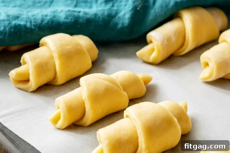 Crescent Rolls undergoing their crucial second rise, becoming light and airy