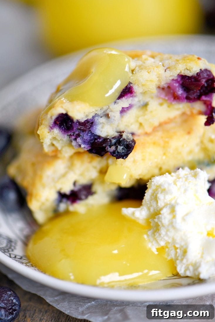A plate featuring two lemon-blueberry scones, artfully garnished with a spoonful of lemon curd and a dollop of Devonshire cream, invitingly presented for a tea break.