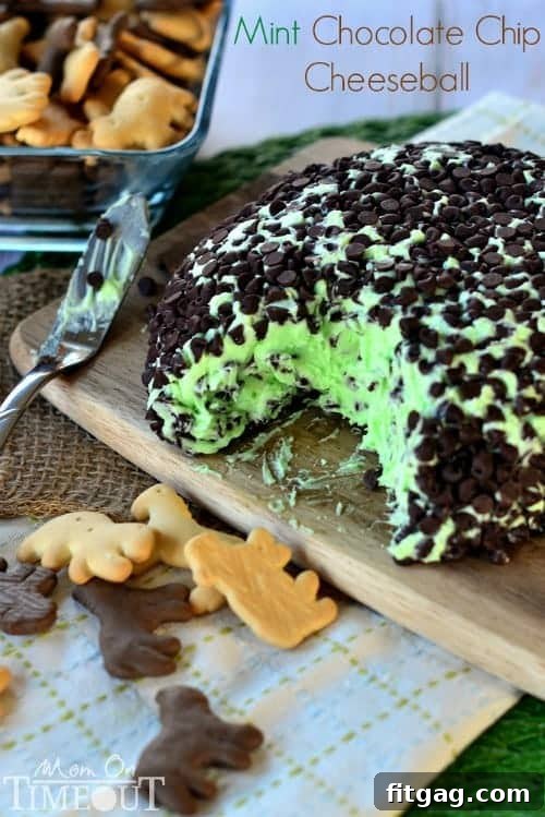 Close-up of Mint Chocolate Chip Cheese Ball coated in mini chocolate chips, ready for dipping