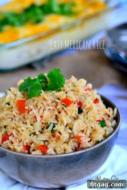 No-Fuss Fiesta Rice 2 This Easy Mexican Rice is the perfect addition to your favorite Mexican meal! | MomOnTimeout.com