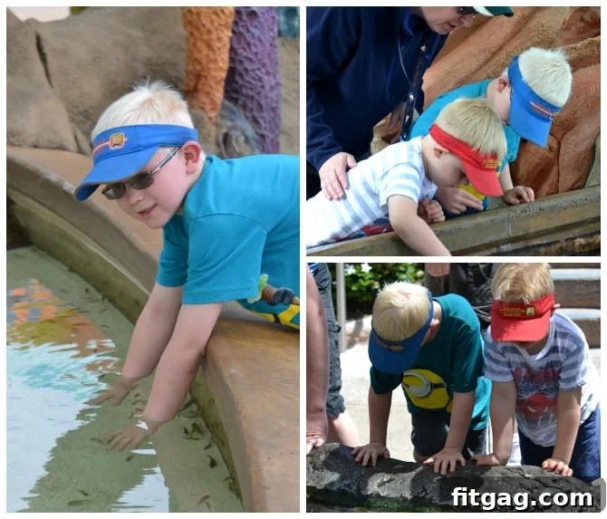 No-Fuss Fiesta Rice 3 Spring break memories, featuring family fun at Sea World and other California attractions