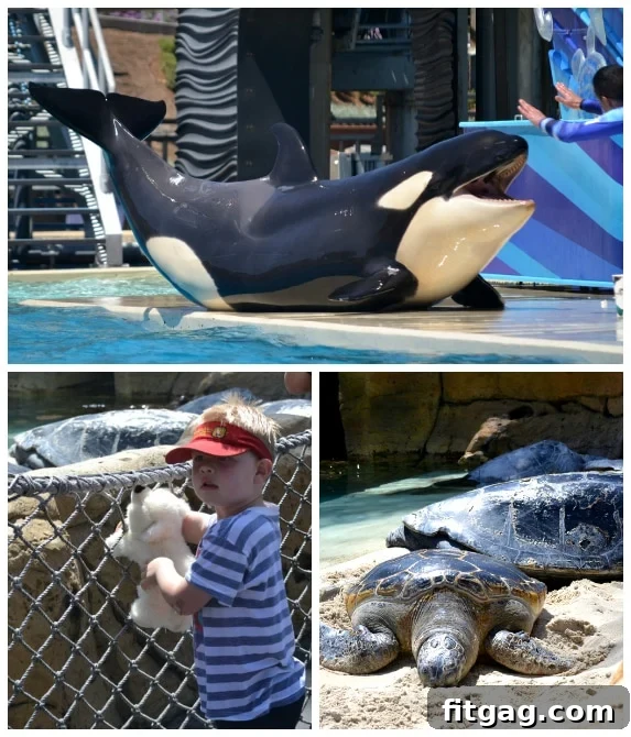 No-Fuss Fiesta Rice 4 More spring break memories, including moments from Sea World and family adventures