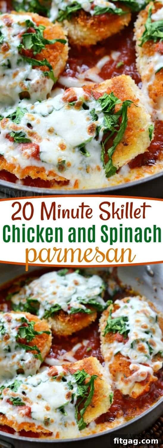 A vibrant and appetizing close-up of a single serving of Skillet Chicken and Spinach Parmesan, showcasing the rich sauce and perfectly melted cheese.