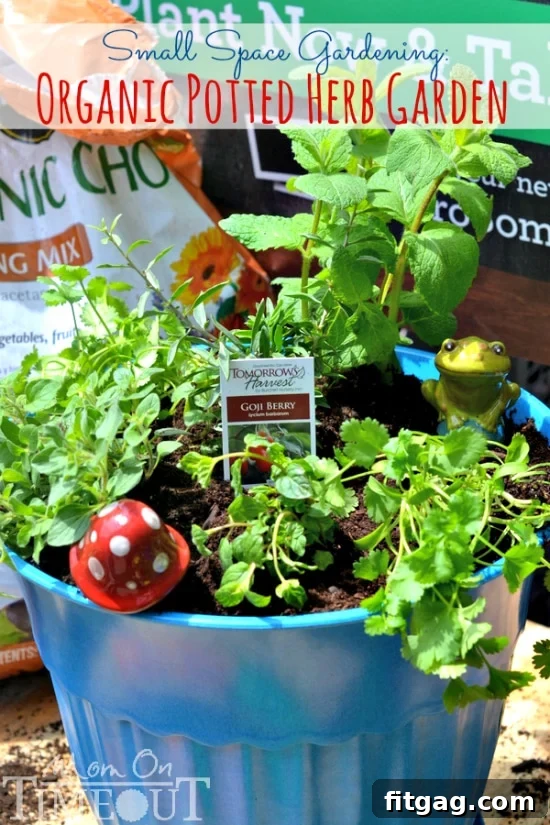 Small Space Gardening: Organic Potted Herb Garden | MomOnTimeout.com Lush Organic Potted Herb Garden for Small Spaces by MomOnTimeout.com