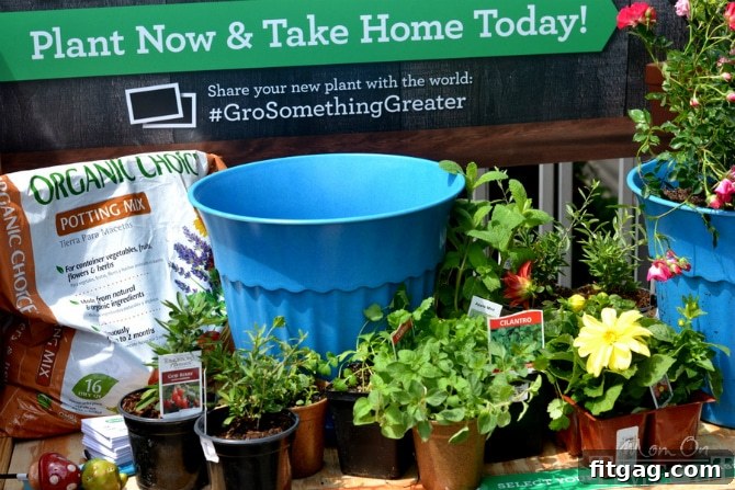 Your Personal Organic Herb Pot Oasis 5 Selection of organic herbs for a potted garden