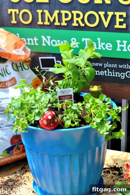 Small Space Gardening: Organic Potted Herb Garden | MomOnTimeout.com Beautifully potted organic herb garden, ready as a gift