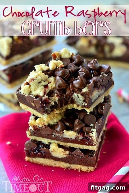 Buttery Toffee Blondies 11 Another image of Chocolate Raspberry Crumb Bars, showcasing their delicious crumbly texture.