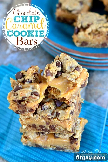 Buttery Toffee Blondies 10 Chocolate Raspberry Crumb Bars with a rich chocolate and vibrant raspberry filling.