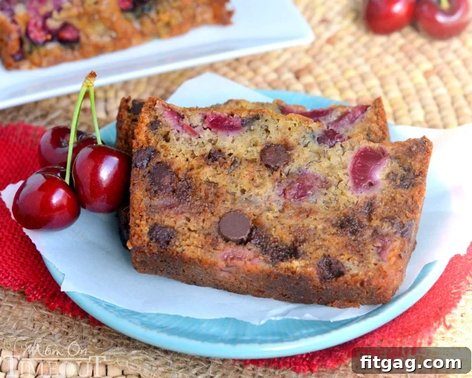 A close-up of a slice of moist Chocolate Cherry Banana Bread, showcasing the juicy cherries and melted chocolate chips within a golden crumb.