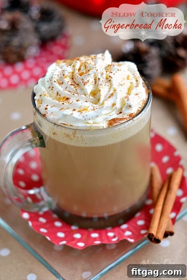 Gingerbread Crockpot Mocha 2 A delicious holiday beverage made right in your slow cooker! This Slow Cooker Gingerbread Mocha tastes just like cookies...but better! | MomOnTimeout.com | #beverage #drink #Christmas #crockpot #IDelight #spon
