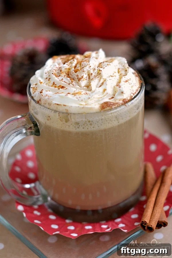 Gingerbread Crockpot Mocha 3 A delicious holiday beverage made right in your slow cooker! This Slow Cooker Gingerbread Mocha tastes just like cookies...but better! | MomOnTimeout.com | #beverage #drink #Christmas #crockpot #IDelight #spon