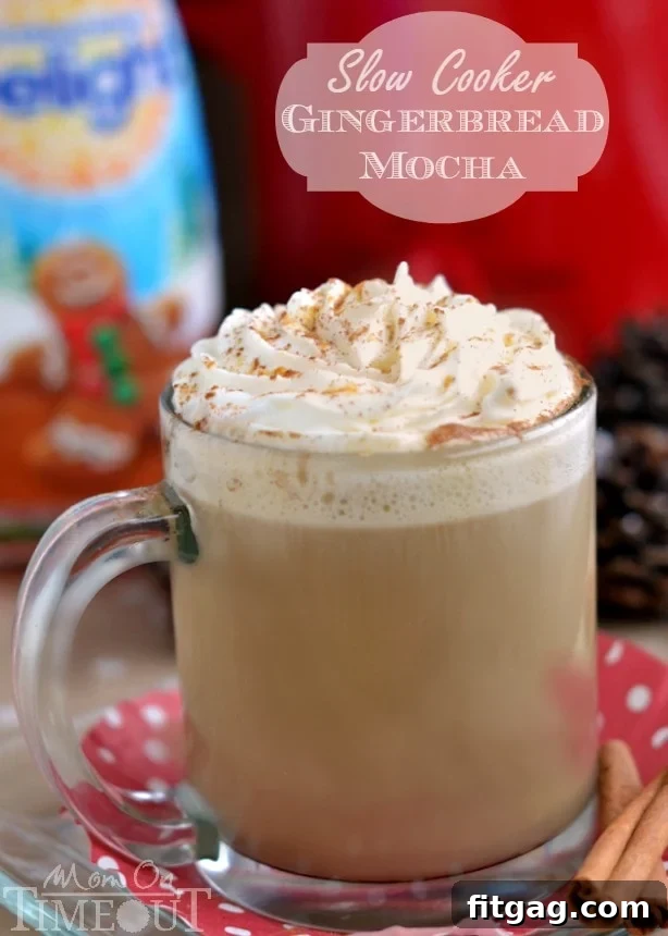 Gingerbread Crockpot Mocha 4 A delicious holiday beverage made right in your slow cooker! This Slow Cooker Gingerbread Mocha tastes just like cookies...but better! | MomOnTimeout.com | #beverage #drink #Christmas #crockpot #IDelight #spon