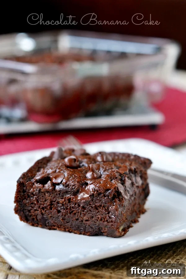 A close-up view of a Chocolate Banana Applesauce Cake, showing its deep chocolate color and the texture of a healthy dessert.