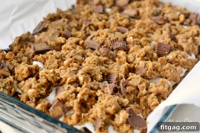 Decadent Reese's Peanut Butter S'mores Oatmeal Cookie Bars 4 Reese's Peanut Butter S'mores Oatmeal Cookie Bars - total indulgence in each bite! | MomOnTimeout.com