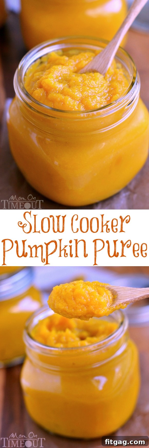 Assortment of delicious pumpkin-based desserts made with homemade pumpkin puree, including pies, cakes, and cookies.