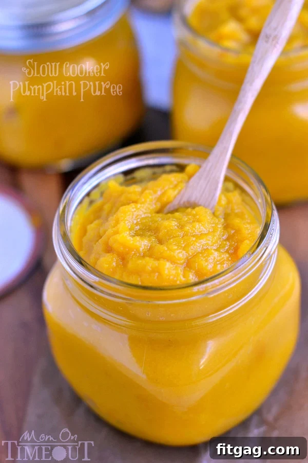 Close-up of fresh homemade slow cooker pumpkin puree, showing its smooth texture and rich orange color, perfect for holiday baking.
