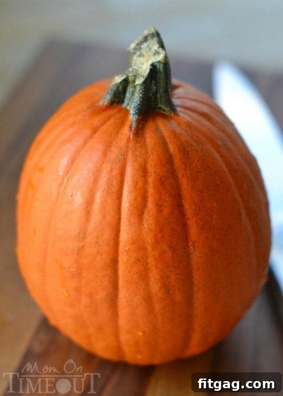 A small, round pie pumpkin or sugar pumpkin, ideal for making delicious slow cooker pumpkin puree for baking.