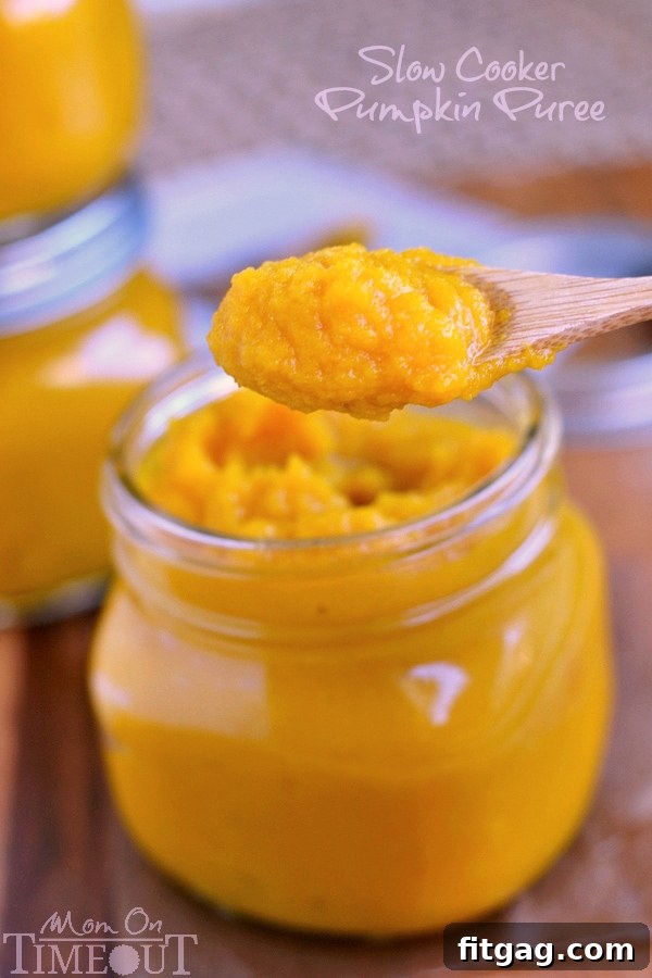 Beautifully smooth and vibrant homemade pumpkin puree, ready to be used in a variety of delicious recipes.