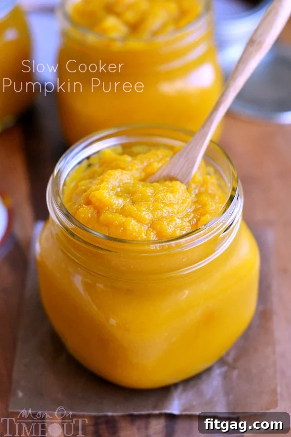 A bowl of fresh, creamy slow cooker pumpkin puree, showcasing its smooth texture and vibrant color, ready for use.