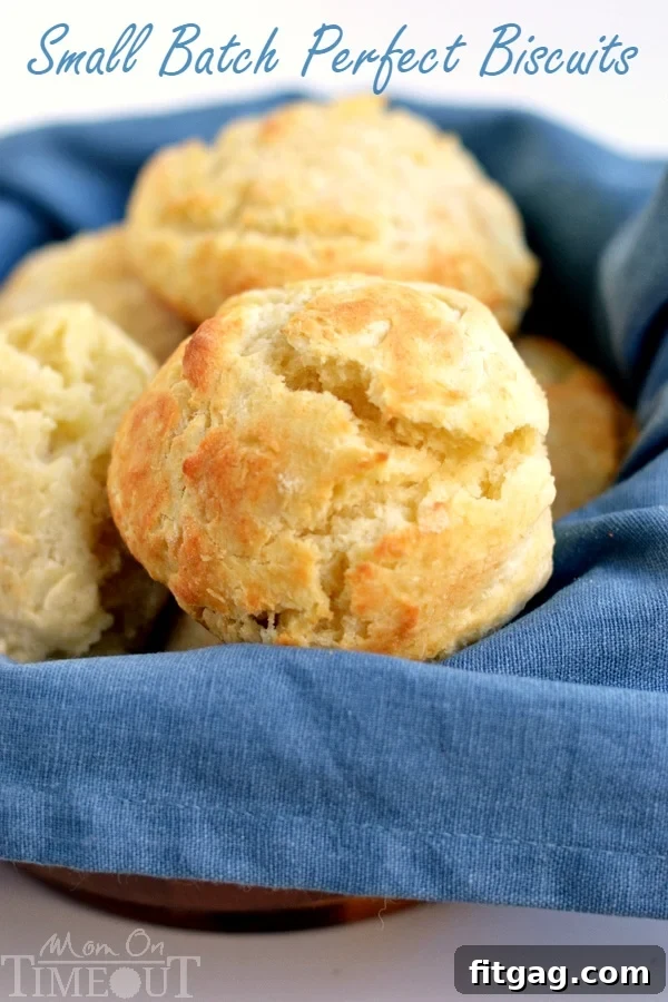 Perfect Small Batch Biscuits: Soft, Flaky, and Buttermilk-Free A basket overflowing with freshly baked, golden-brown small batch biscuits, nestled on a blue linen napkin, ready for a delicious breakfast spread.